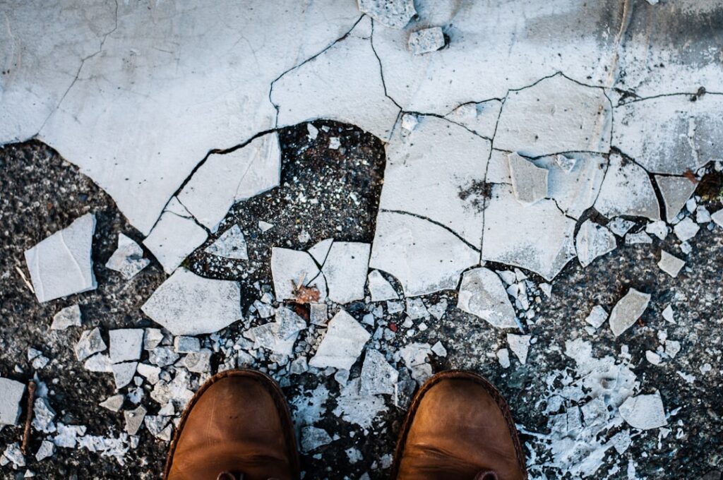Photo insurance renewal