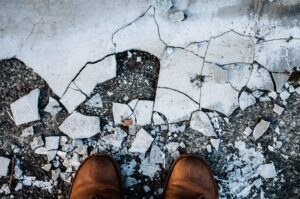 Photo insurance renewal